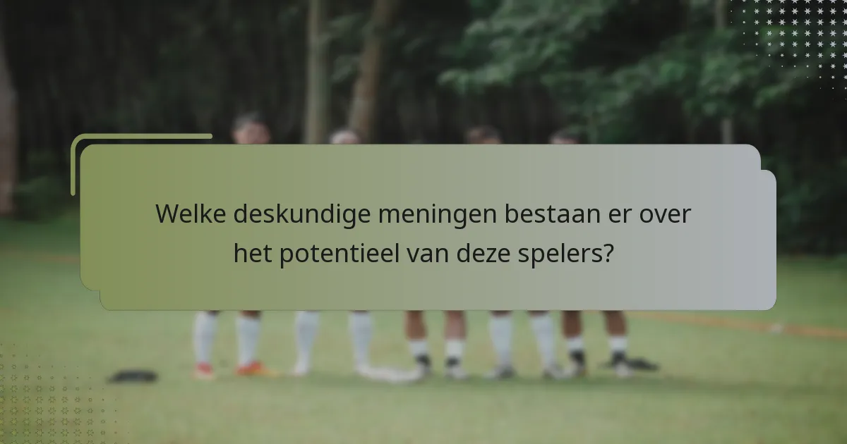 Welke deskundige meningen bestaan er over het potentieel van deze spelers?